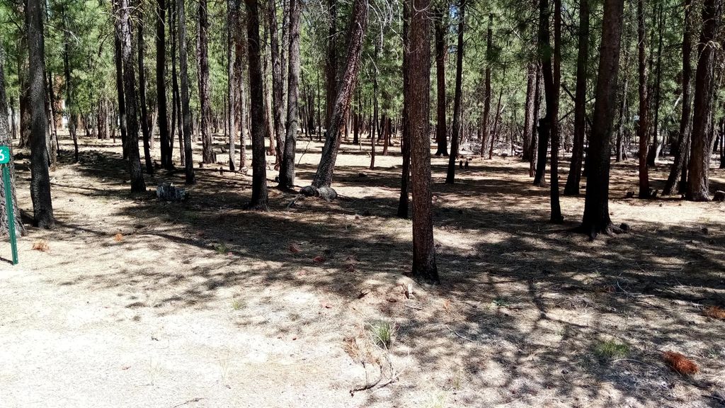 14856 Curlleaf, La Pine