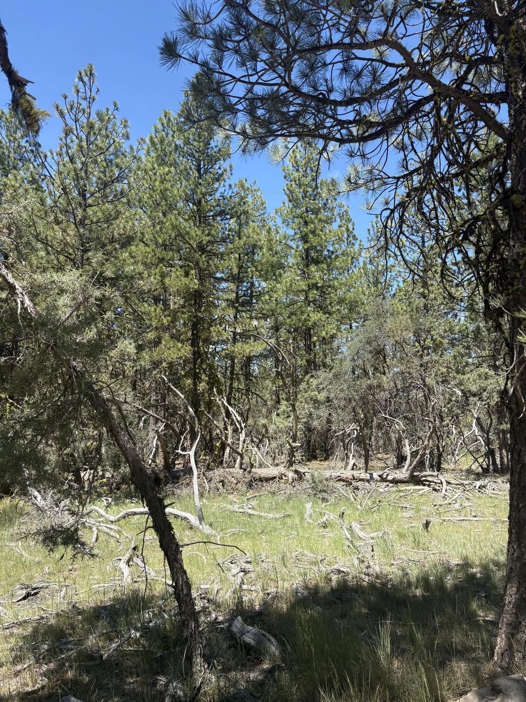 0 Chickadee Drive Lot 10, Bonanza