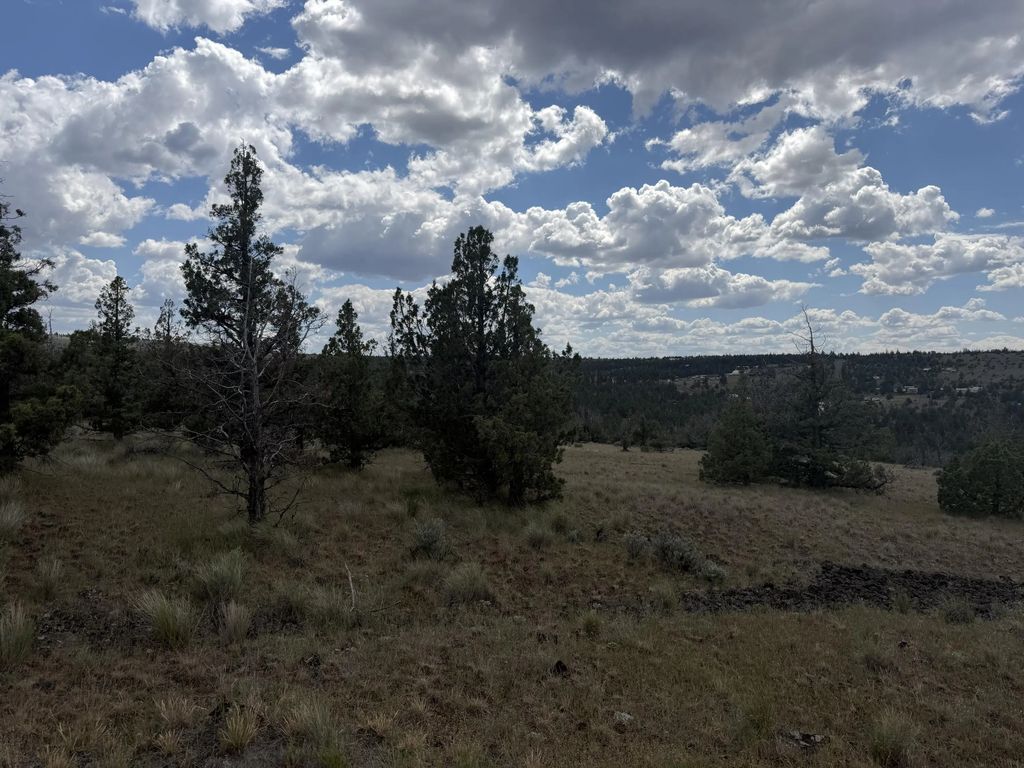14587 Se Sharps Road, Prineville