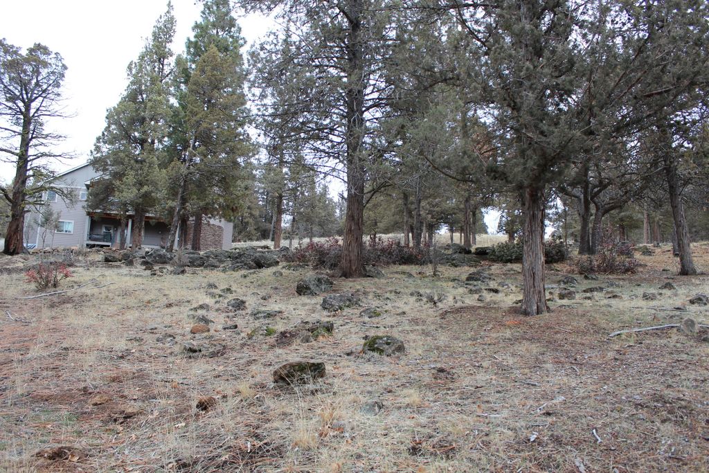 267 Coopers Hawk 267, Klamath Falls