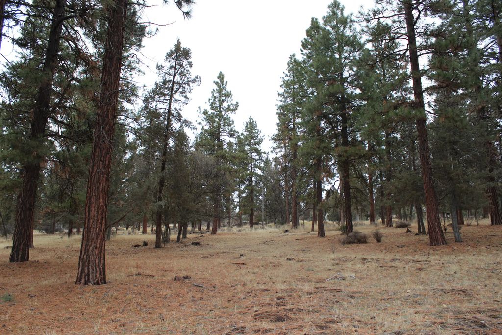 68 Merganser 68, Klamath Falls
