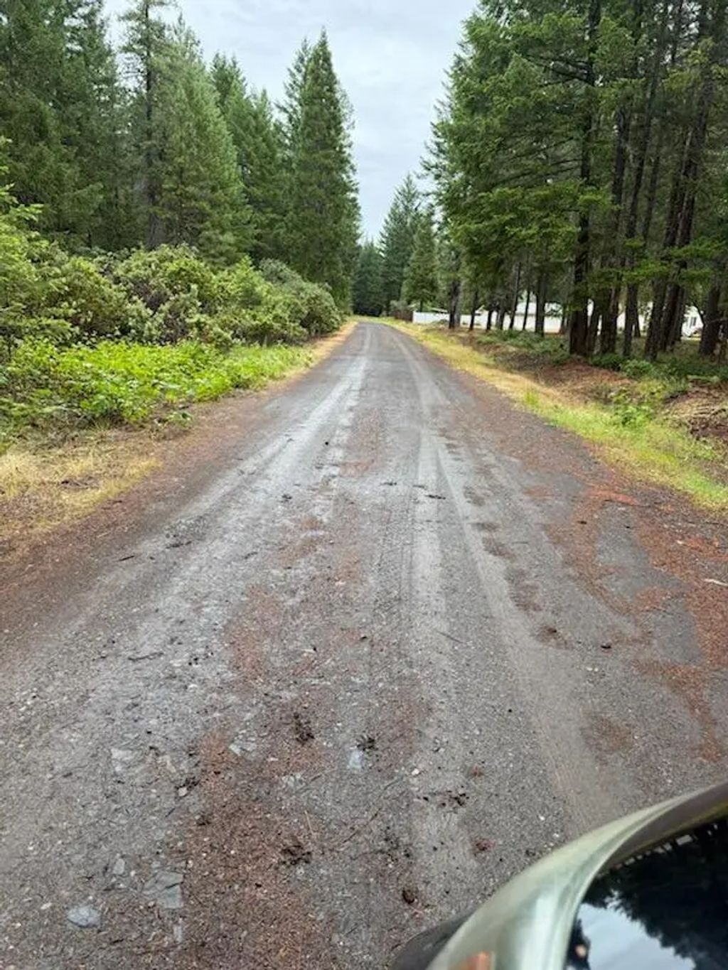 Lone Mountain Road 1300, O'Brien