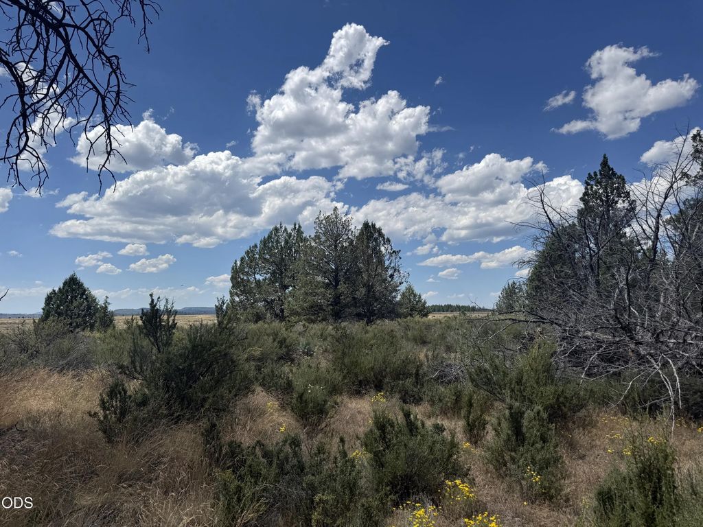 2000 Oregon Pines, Beatty