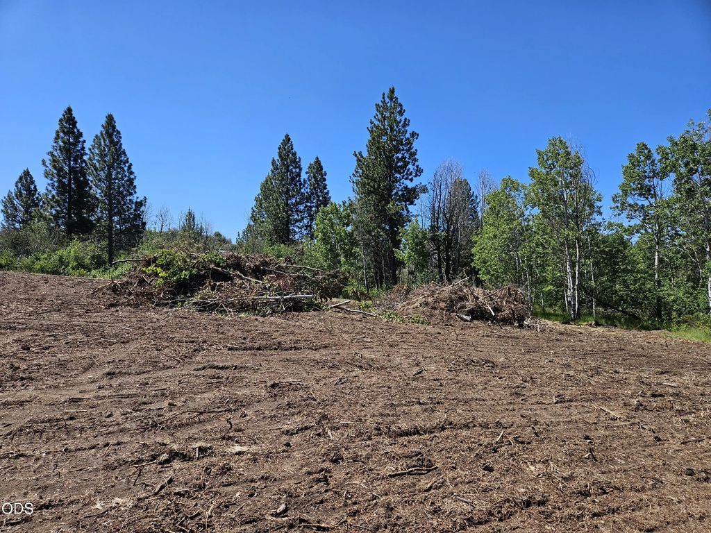 0 Forest View Drive 7800, Chiloquin