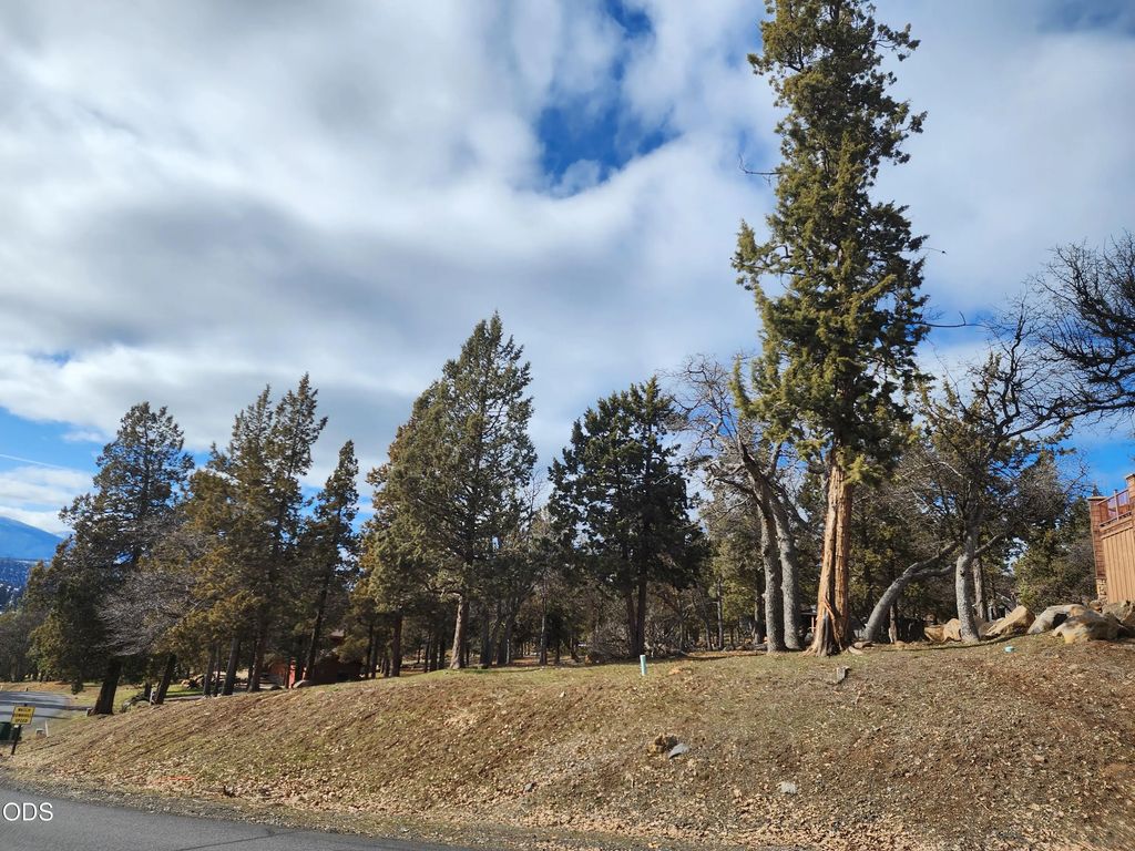 Coopers Hawk 259, Klamath Falls