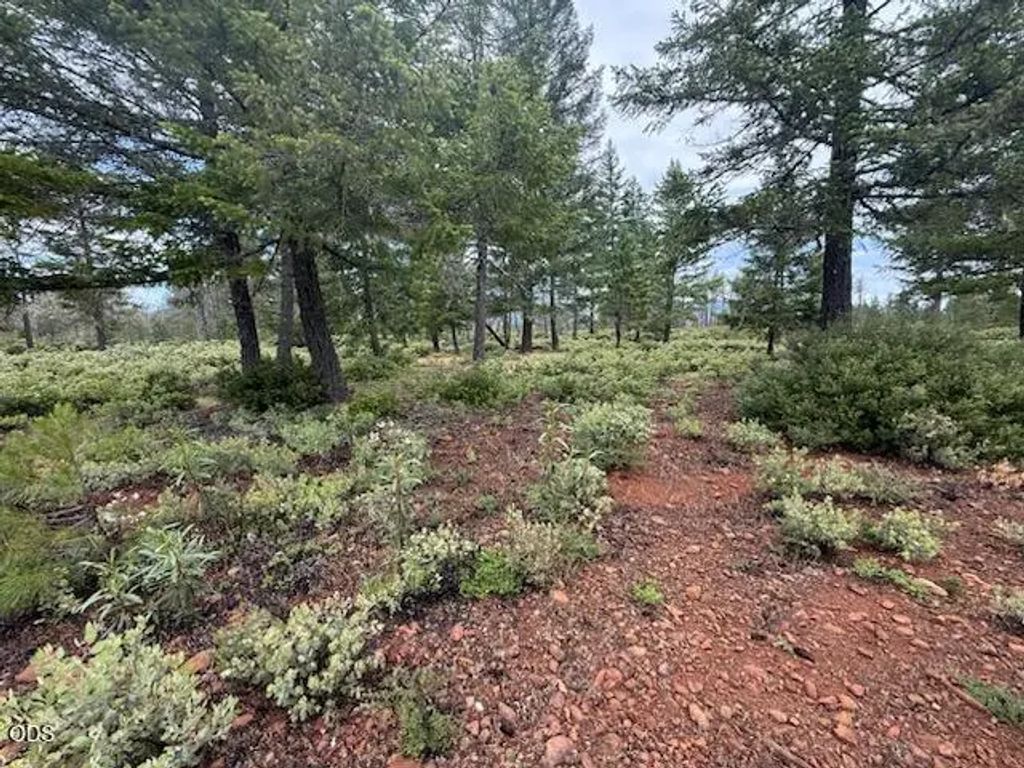 32001 Redwood Highway, Cave Junction