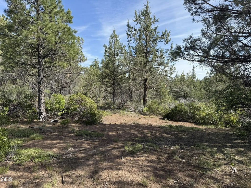 0 Porpoise Lane Lot 29, Bonanza