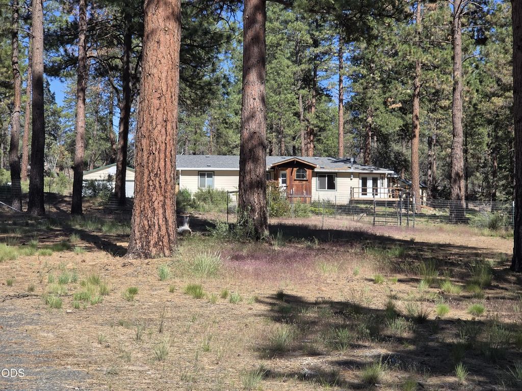 31710 Spaniel Lane, Bonanza