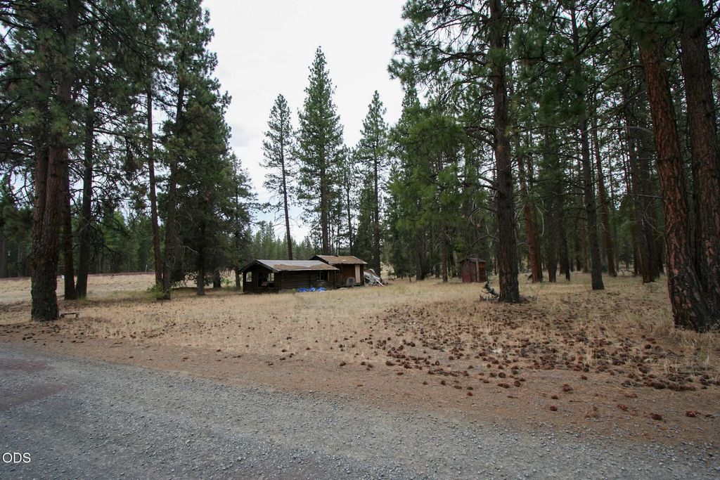 9208 Mina Bird Drive, Bonanza