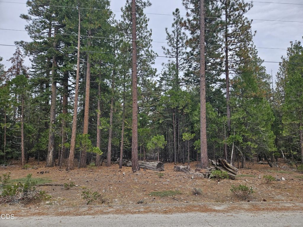 0 Blackbird Drive Lots 33, 34, 35, Bonanza