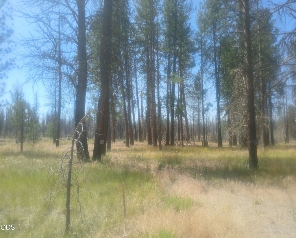 34228 Zebra Lane, Bonanza