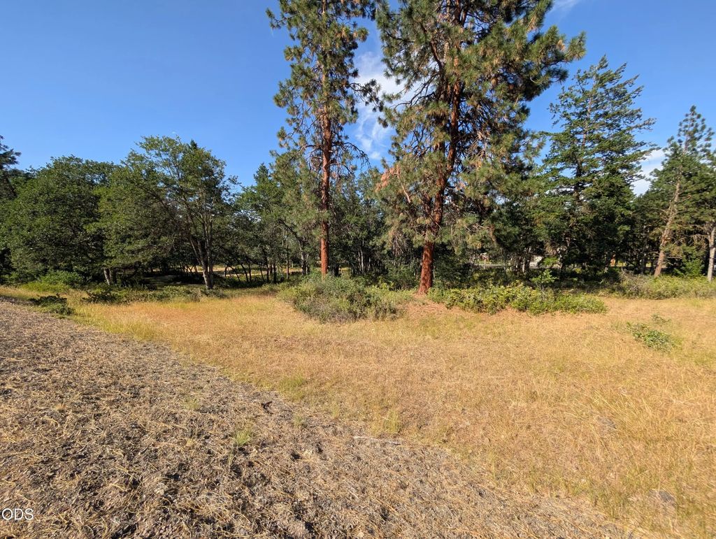 0 Coopers Hawk 881, Klamath Falls