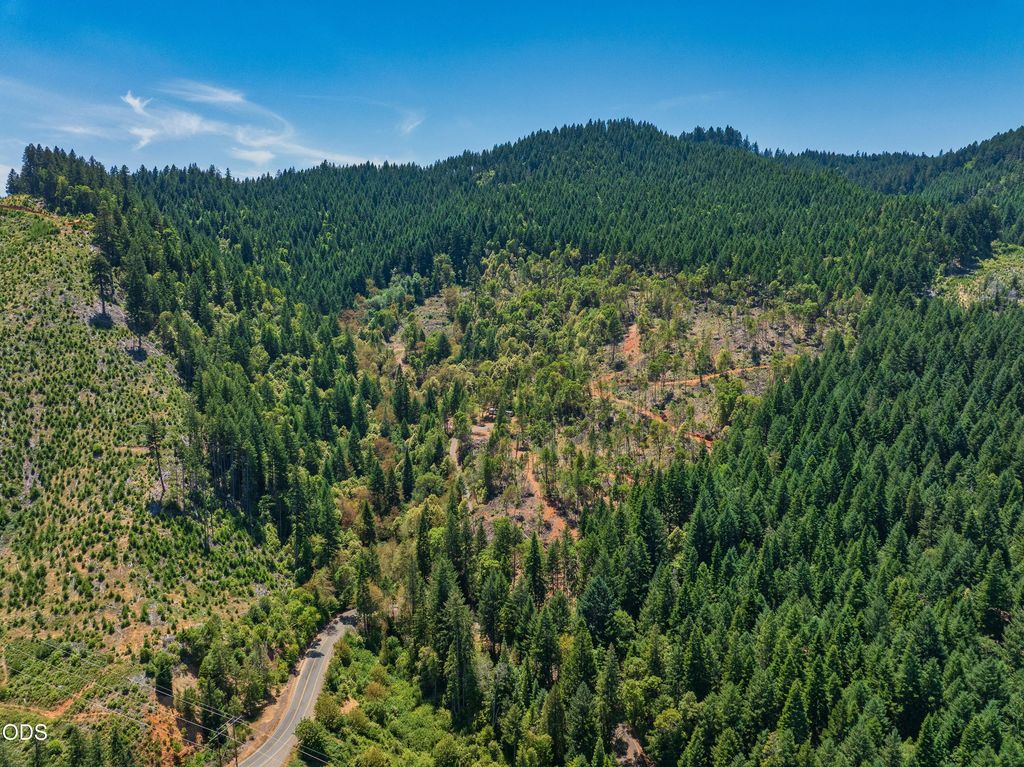 1132 Bridge Lane, Wolf Creek