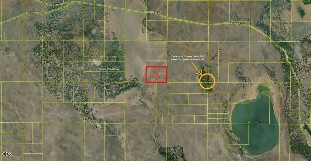 0 Oregon Pines Road, Beatty