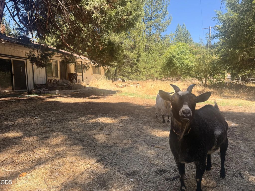 6148 E Evans Creek Road, Rogue River