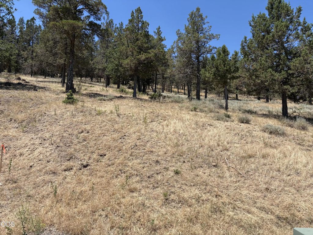 0 Murrelet Road Lot 1139, Klamath Falls