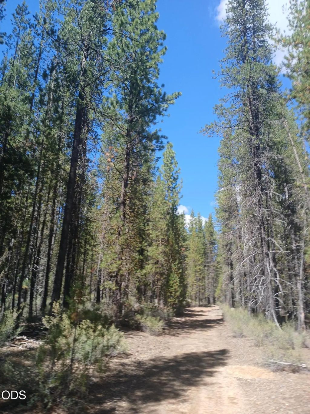 0 Schoonover 5 Road Lot #3600, Crescent