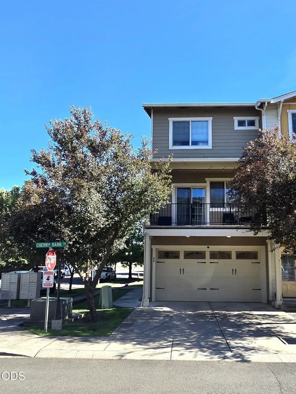 88 Darlington Street, Medford