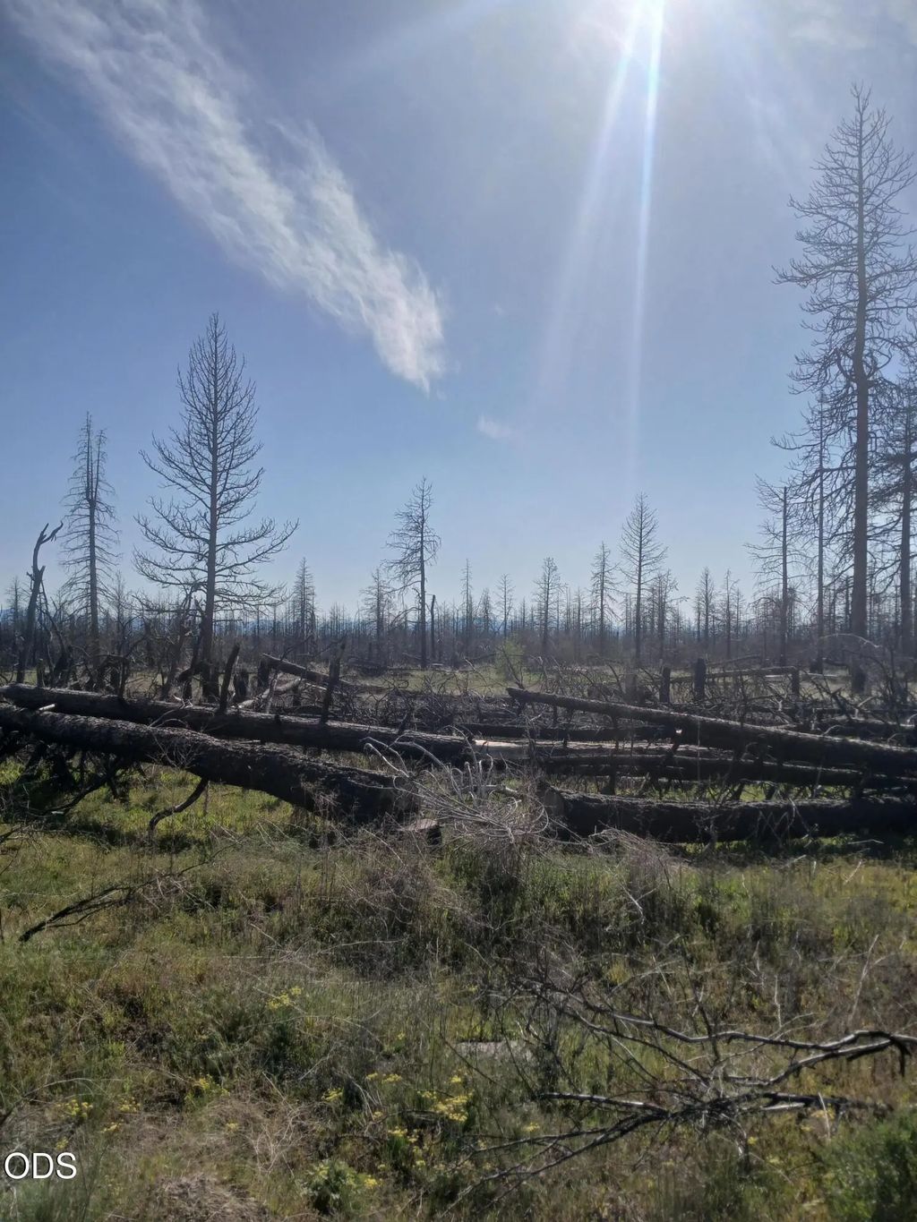 0 Zebu Lane Lot 1, Bonanza