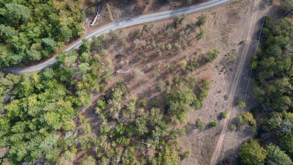 6715 Westside Road, Cave Junction