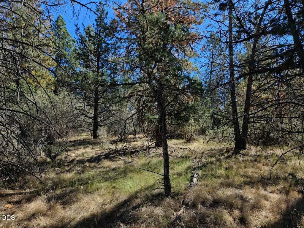 0 Jaguar Lane 29, Bonanza