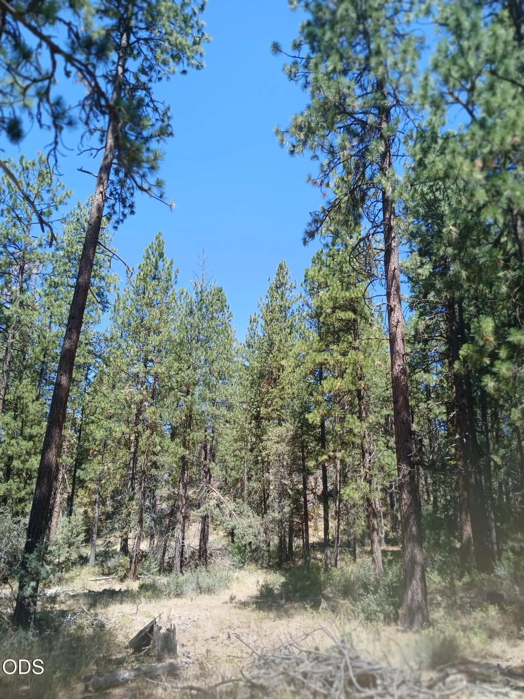 0 Oriole Drive Lot 12, Bonanza