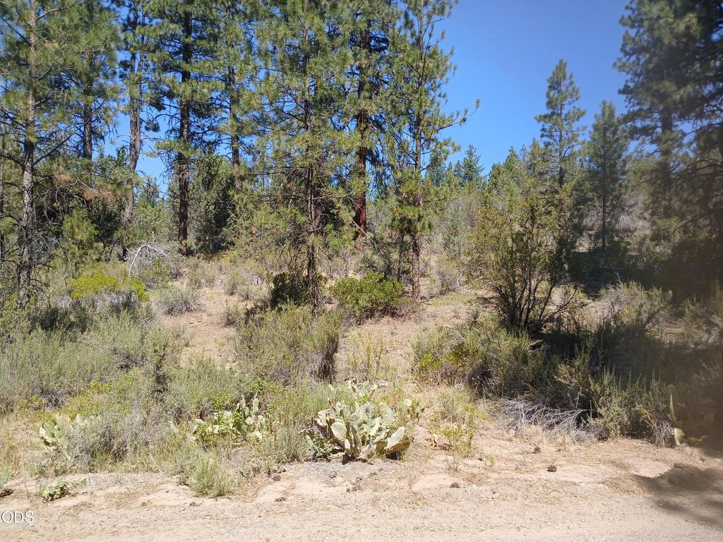 0 Oriole Drive Lot 13, Bonanza