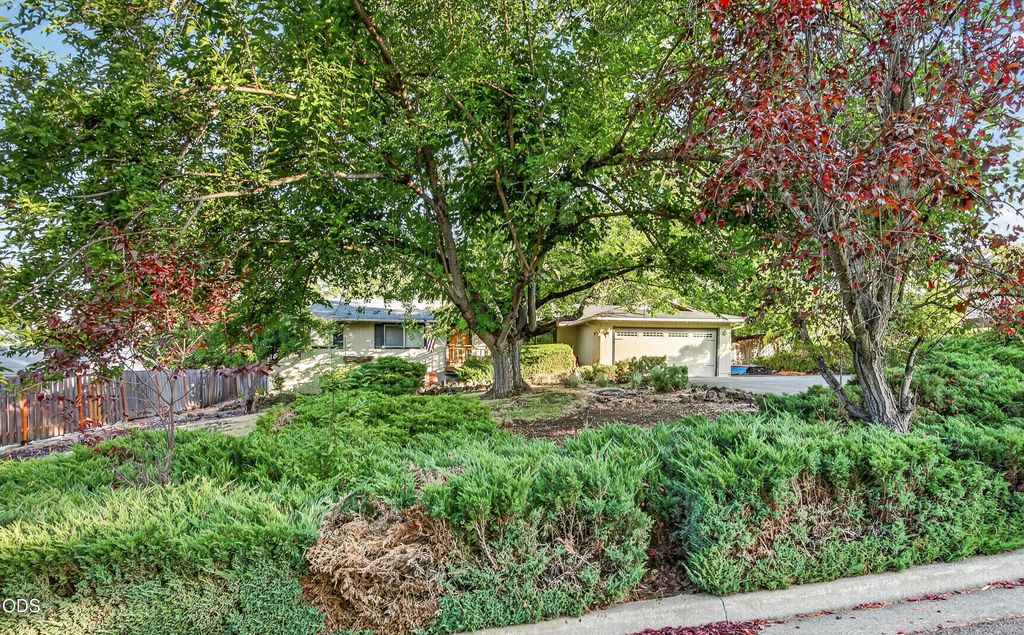1537 Moon Terrace, Medford