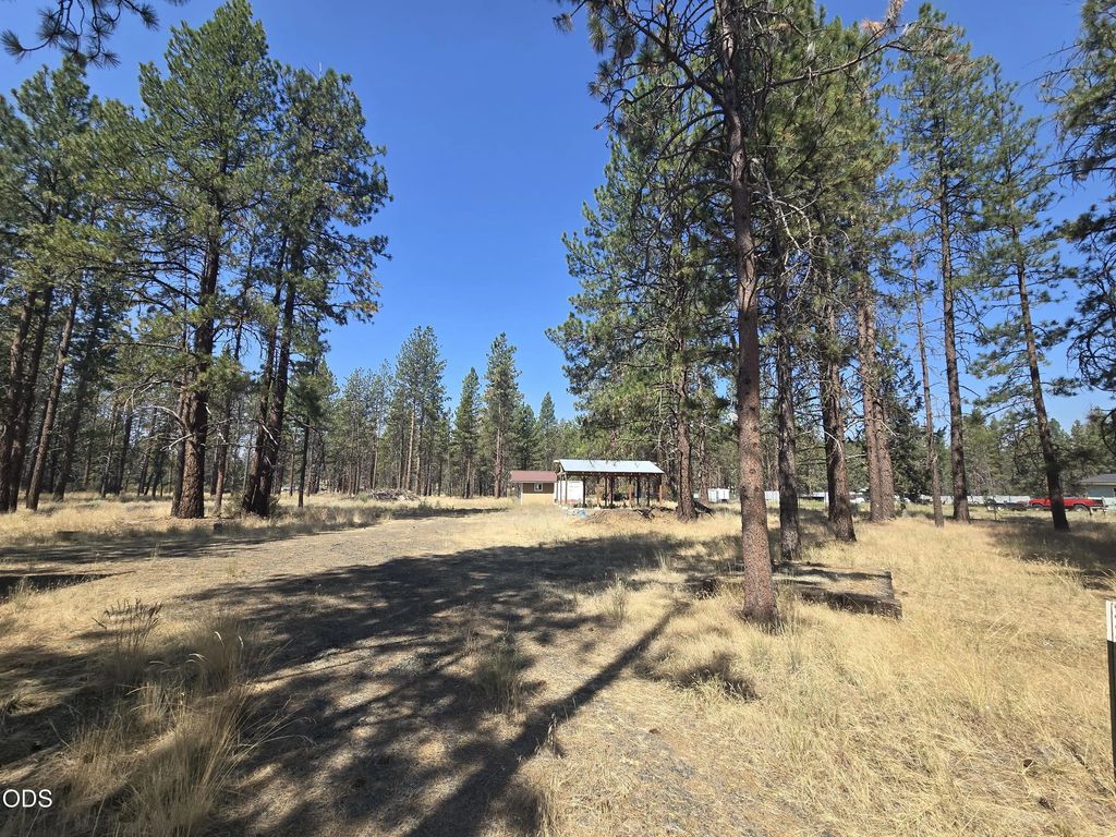 Mina Bird Drive 21, Bonanza