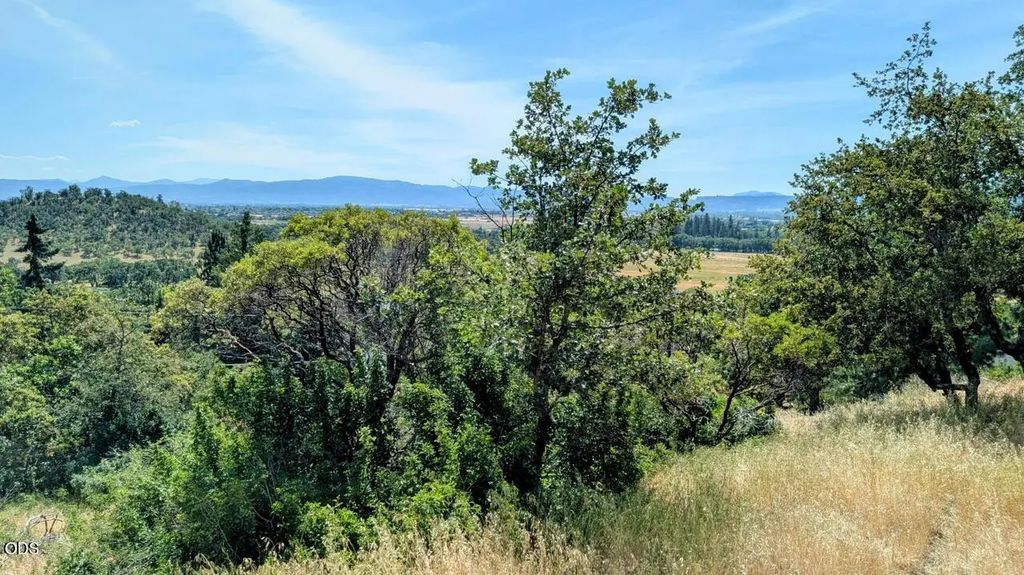 814 Mesa Drive, Eagle Point