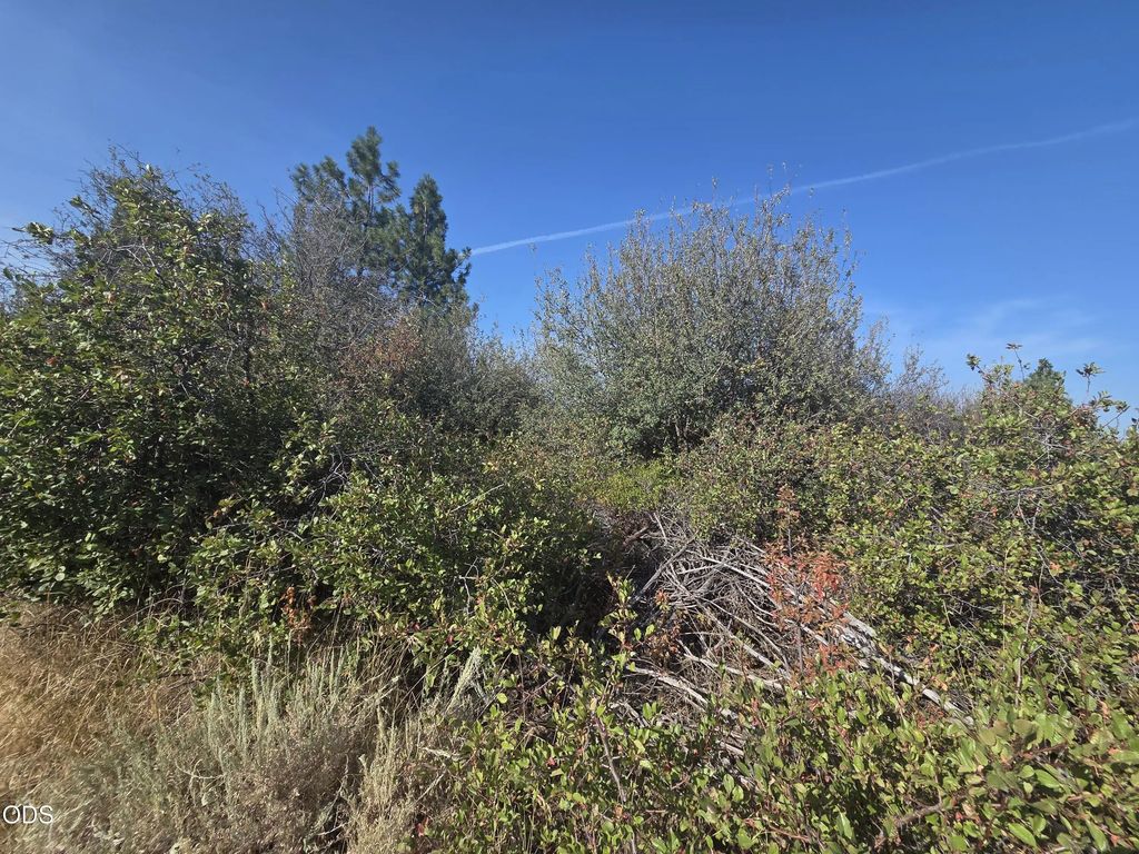 0 Lakeland Road Lot 24, Chiloquin