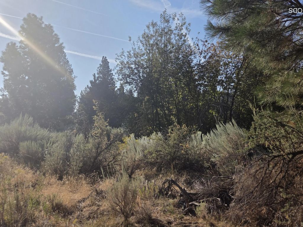 0 Palouse Lane Lot 5, Chiloquin