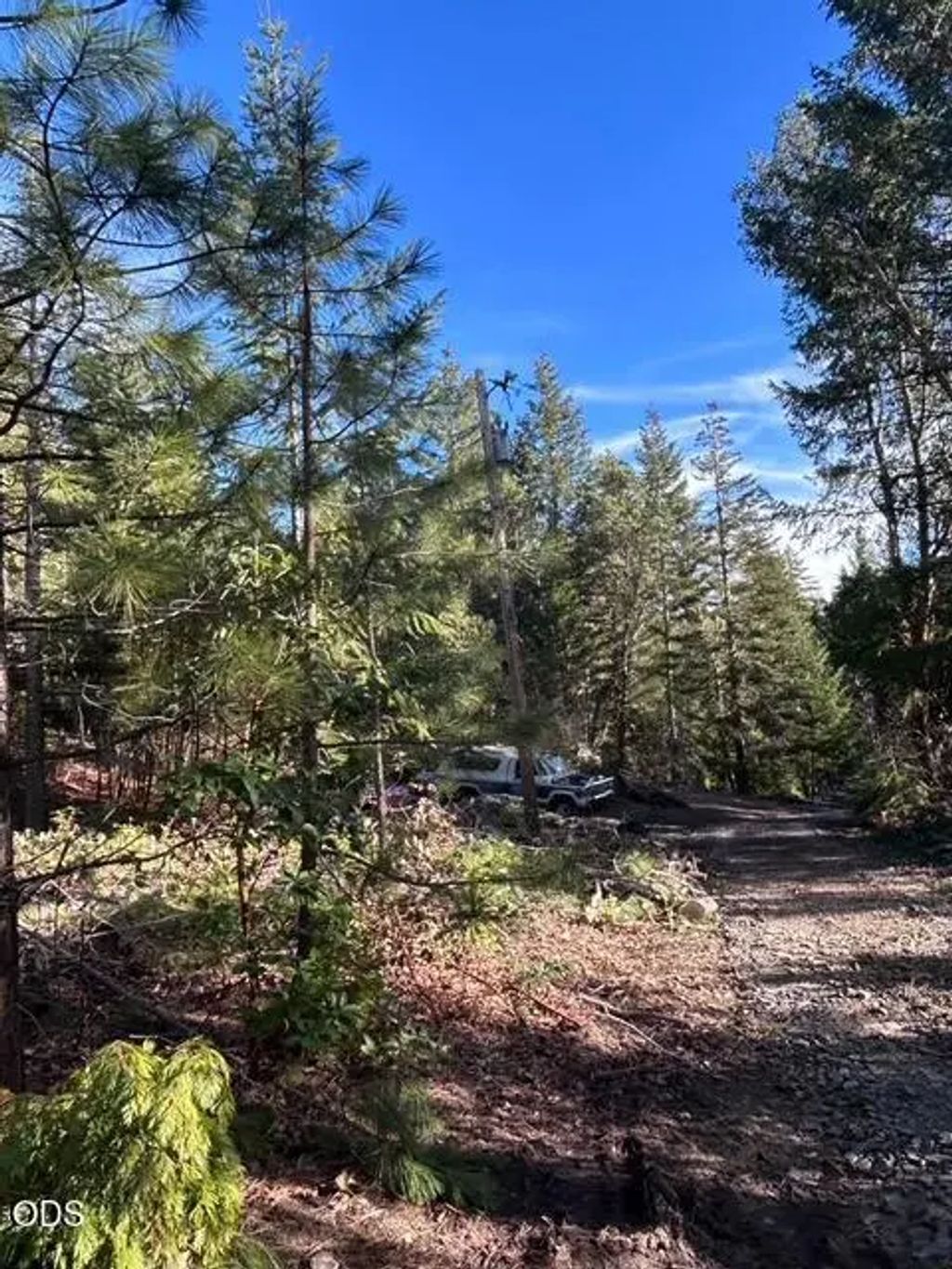 10001 Dead Indian Memorial Road, Ashland