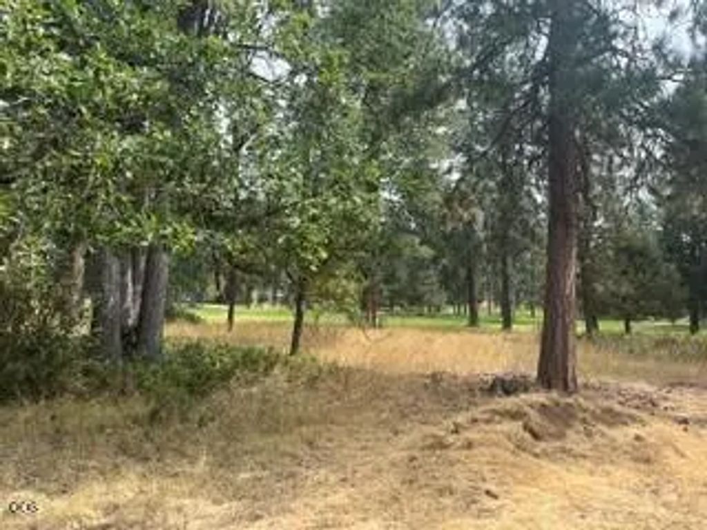0 Merganser Road Lot 104, Klamath Falls