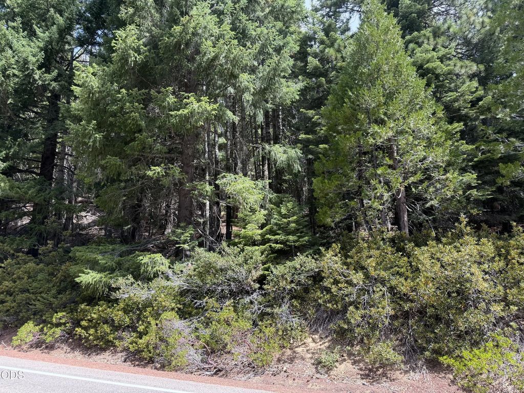 Mt Ashland Ski Road, Ashland