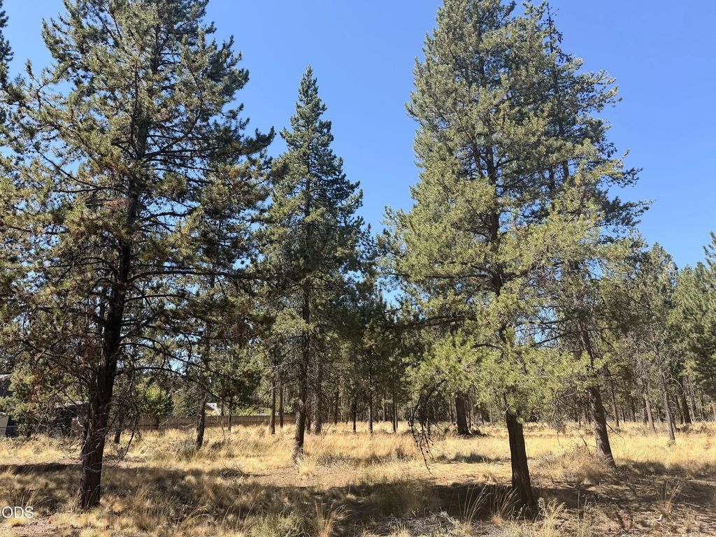 56031 Savage Drive, Bend