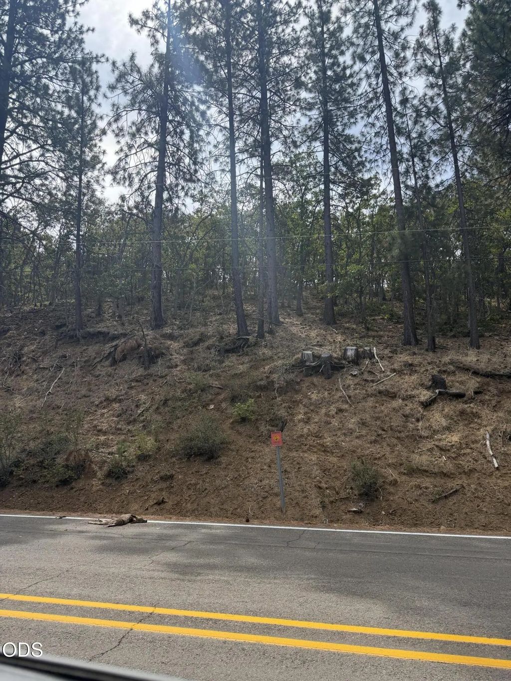 13099 Old Hwy 99 S, Ashland