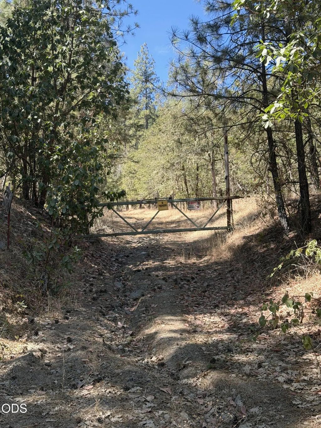 3303 Foots Creek Road, Gold Hill