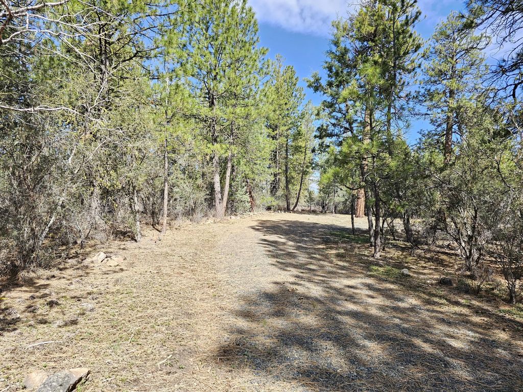 Wolverine Lane Lot 7 & 8, Bonanza