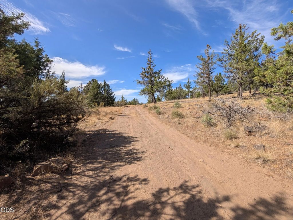Widgeon Drive 12, Bonanza
