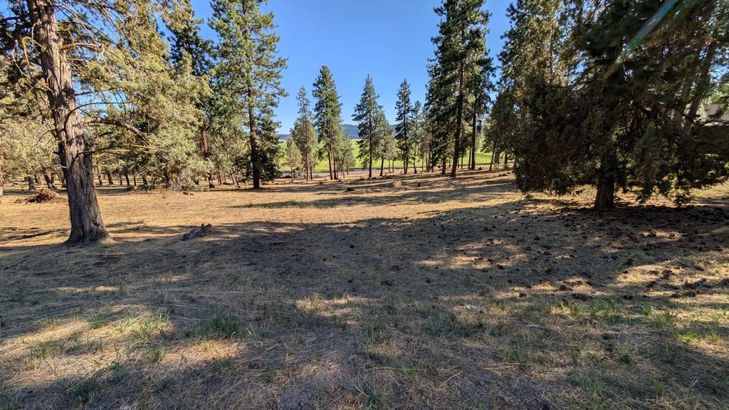 Turnstone Drive 1020, Klamath Falls