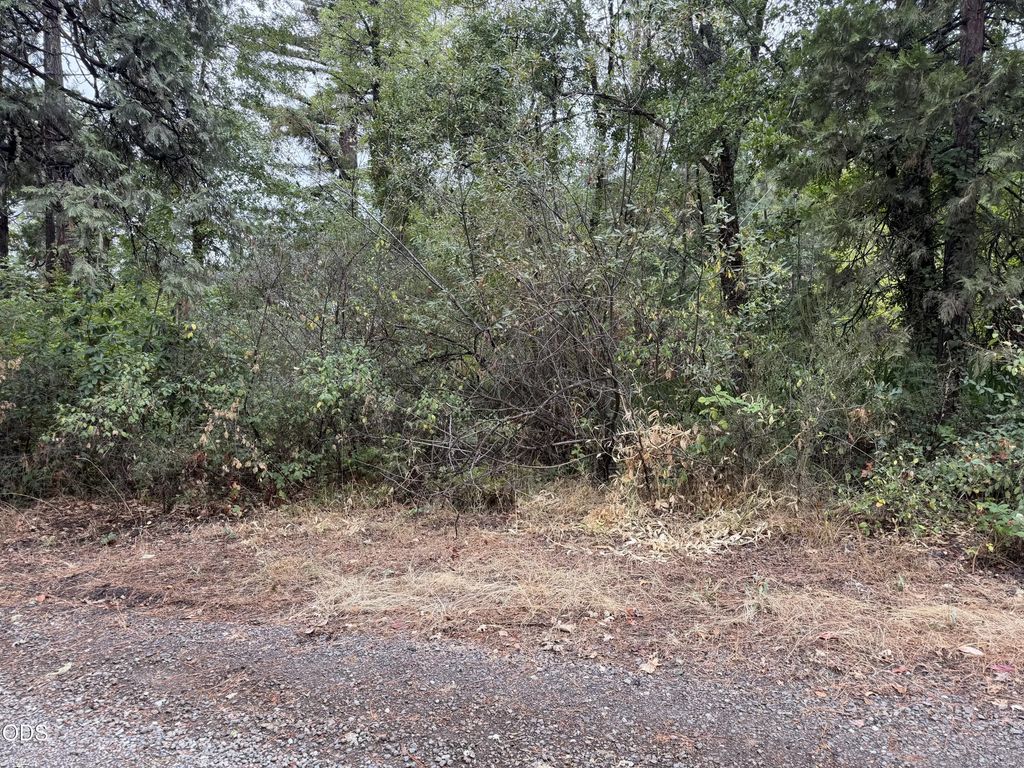 0 Elk Creek Road, Trail