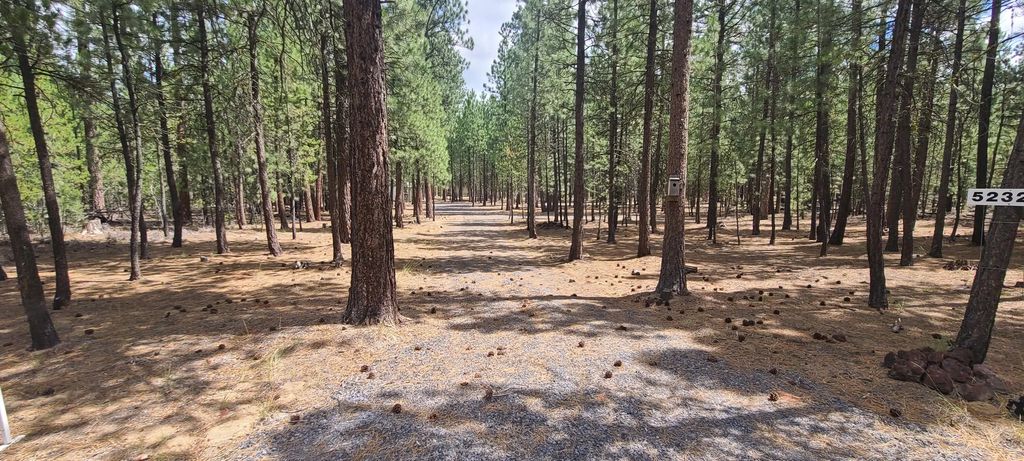 52328 Elderberry Court, La Pine