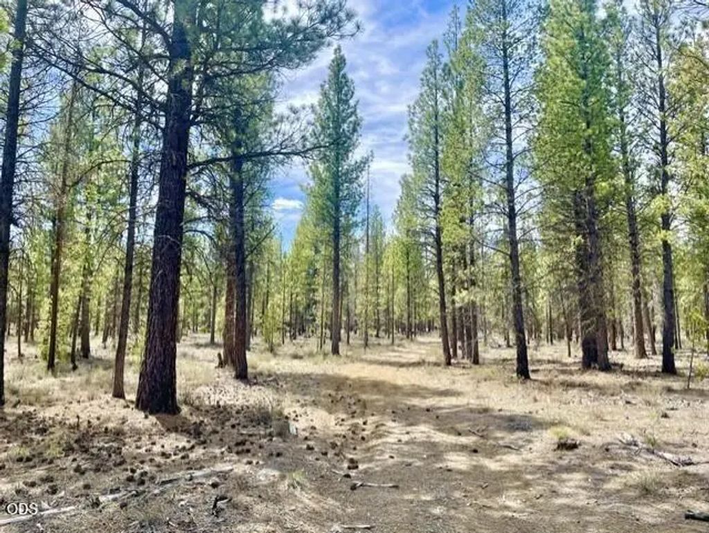50160 Darlene Way, La Pine