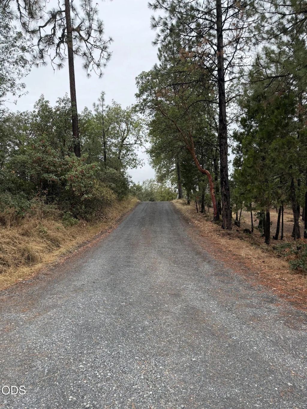 N Obenchain Road, Butte Falls