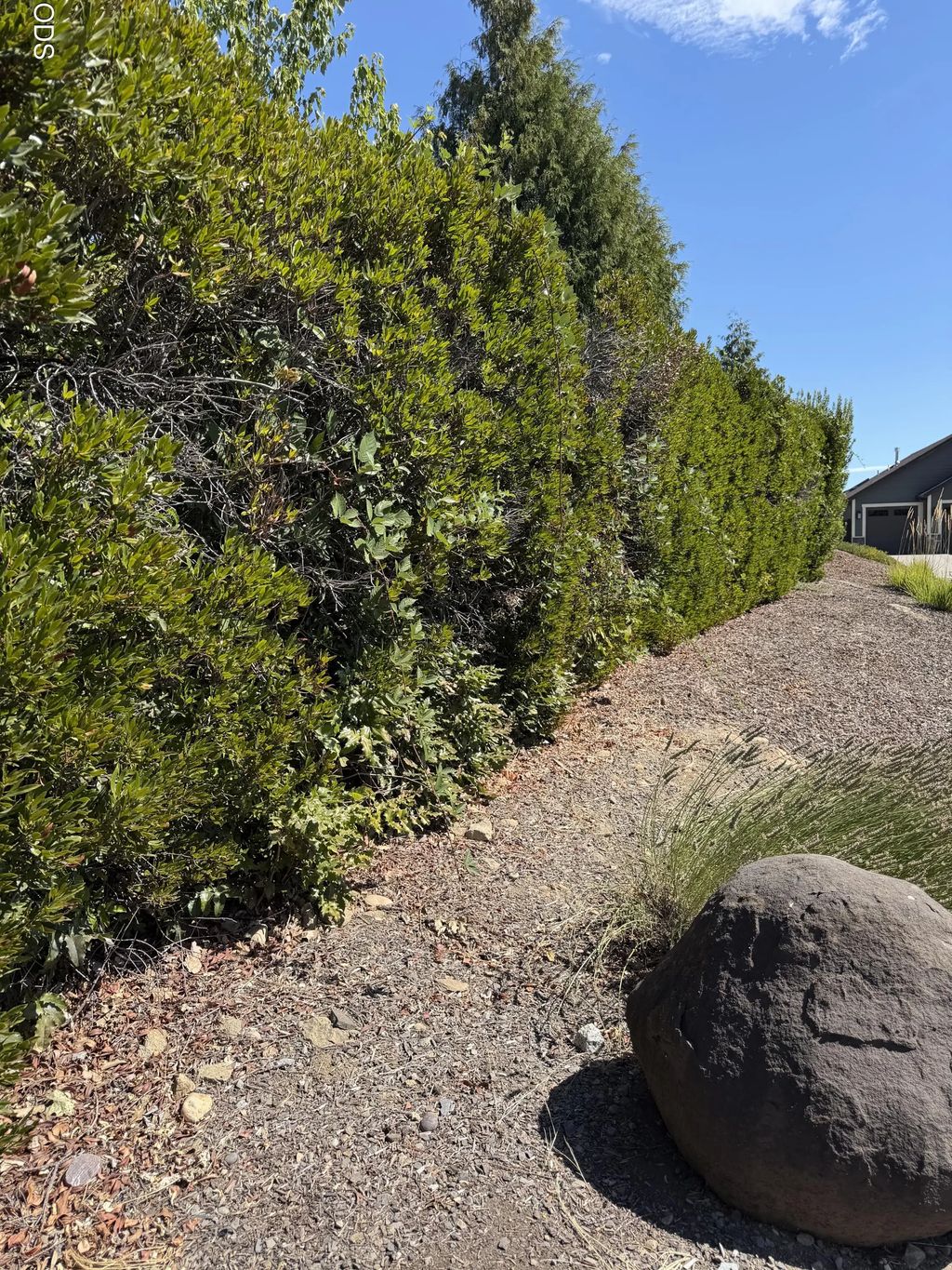 E Rachel Way, Medford