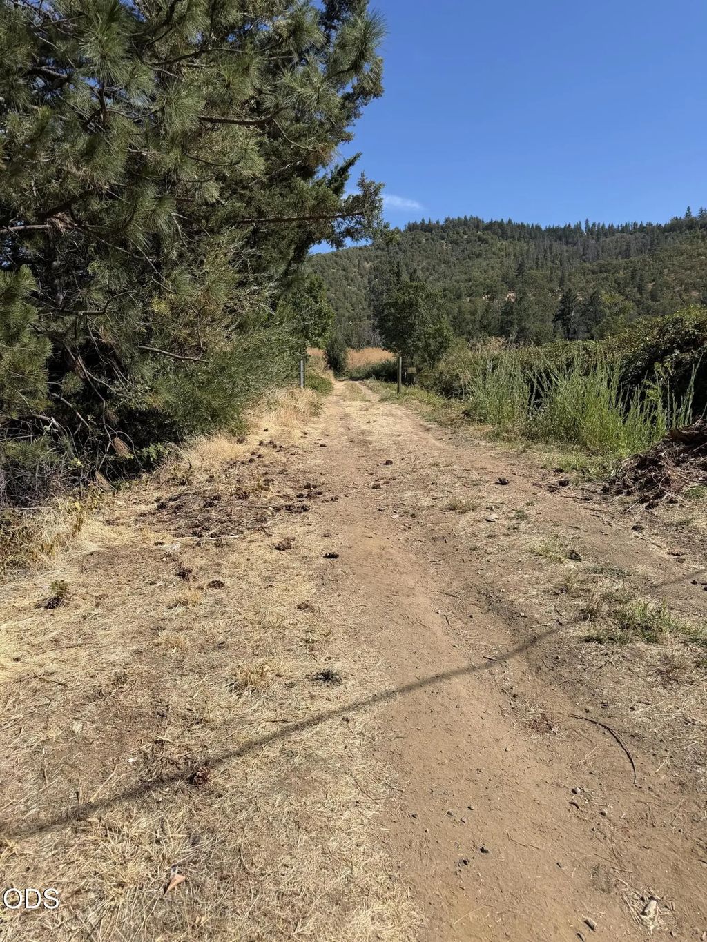 Tolman Cr Road, Ashland