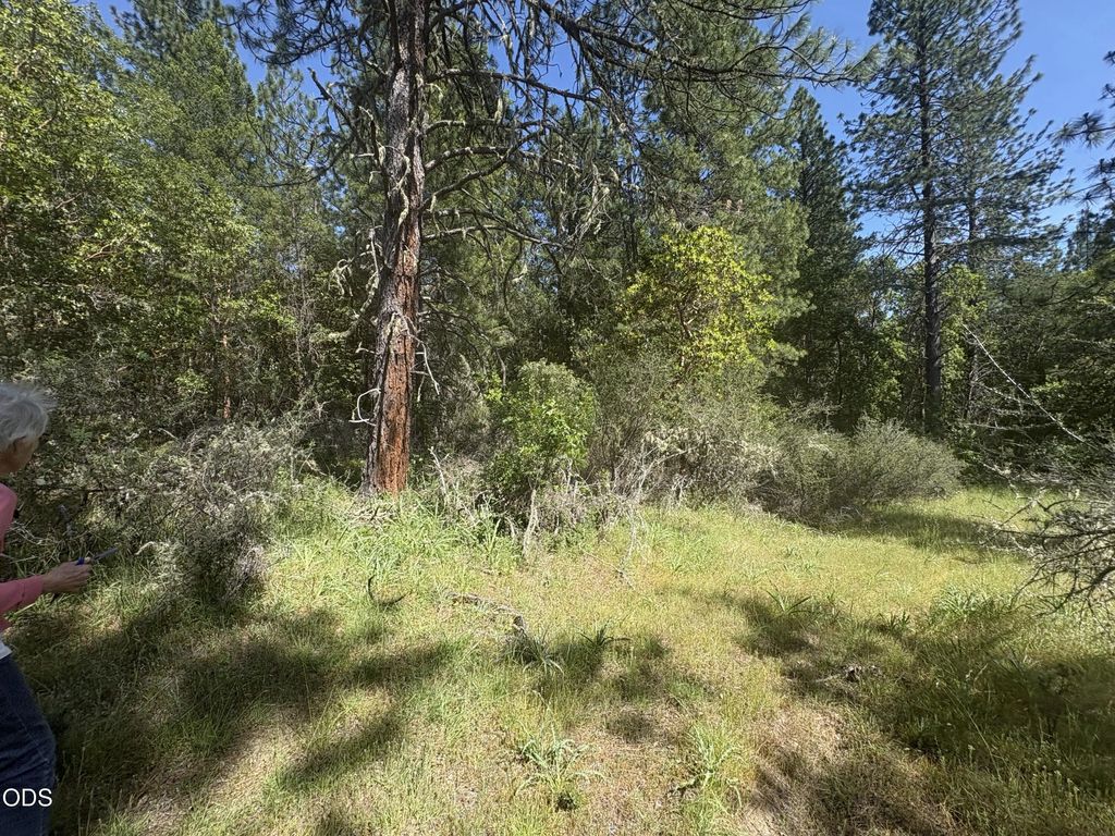 0 Kincaid Road Lot #603, Williams