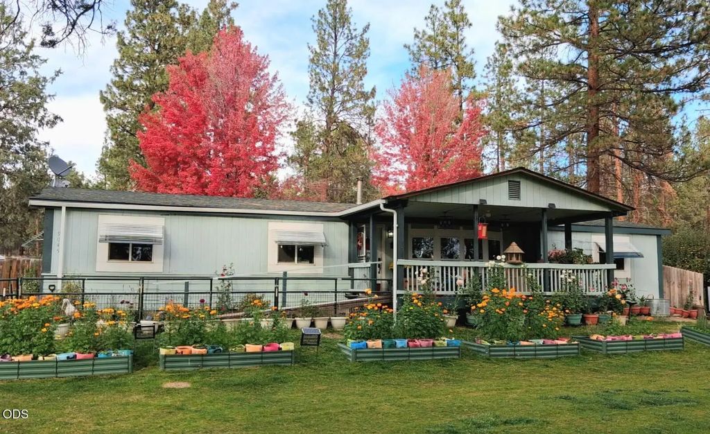 9045 Ground Squirrel Drive, Bonanza