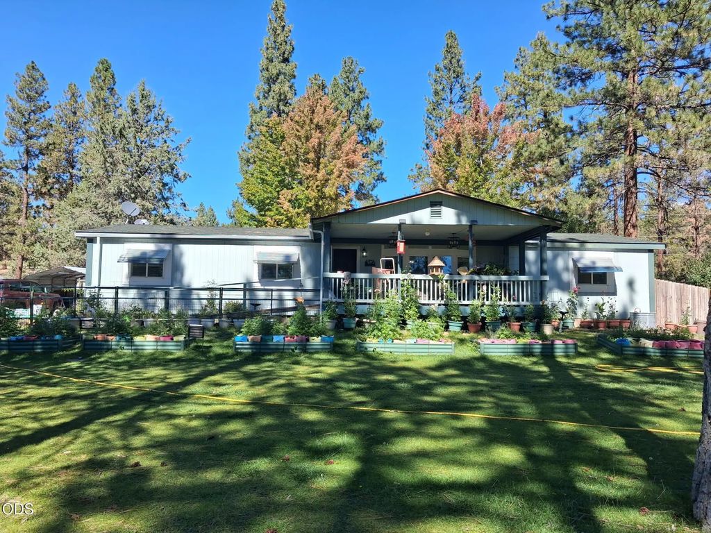 9045 Ground Squirrel Drive, Bonanza